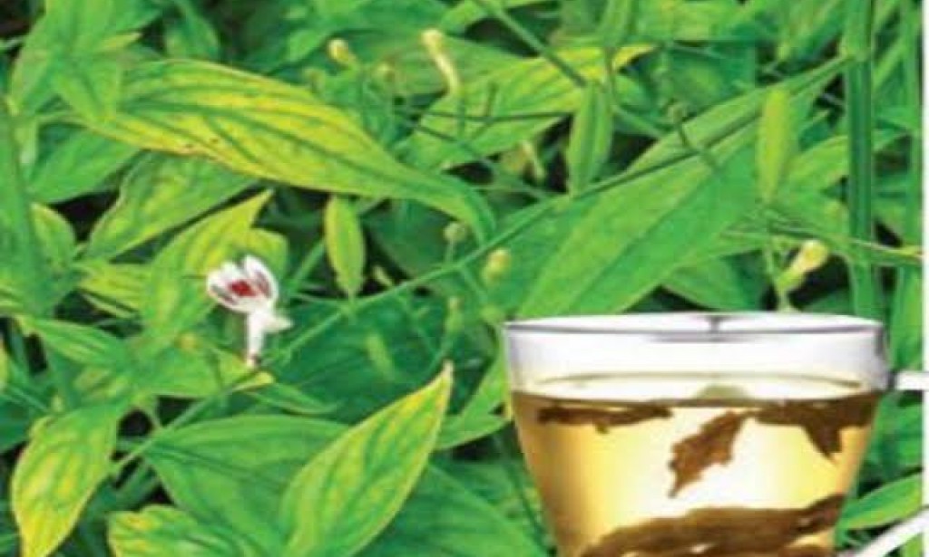 5 TOP BENEFITS OF NILAVEMBU