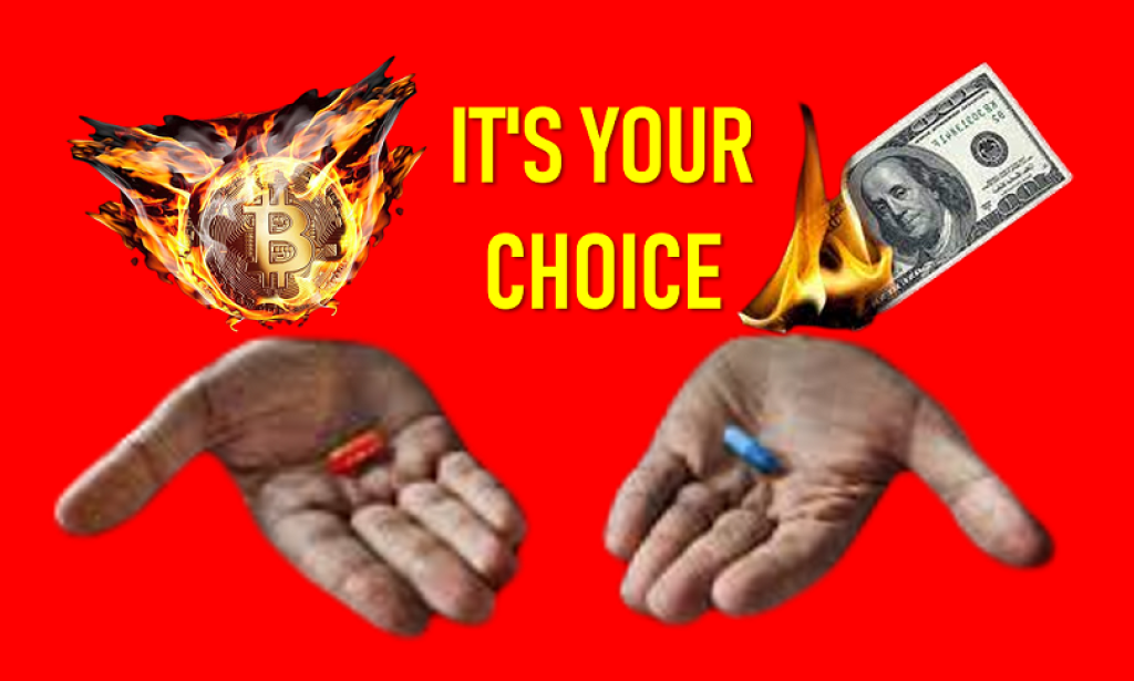 How to overcome the fear of failure when investing in cryptocurrencies: red pill or blue pill?