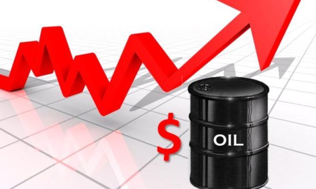 High oil prices worry developing countries